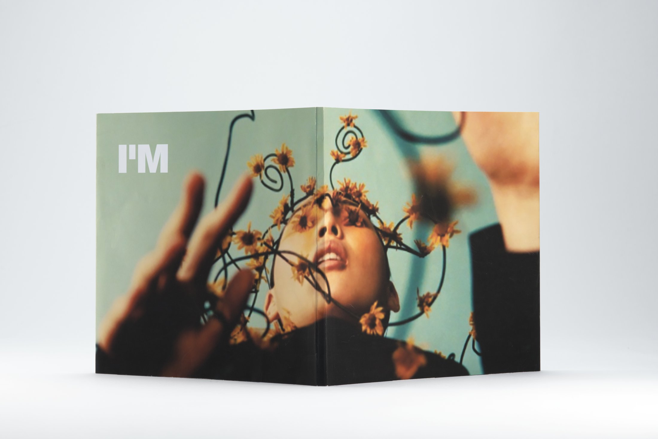 I'M brand book